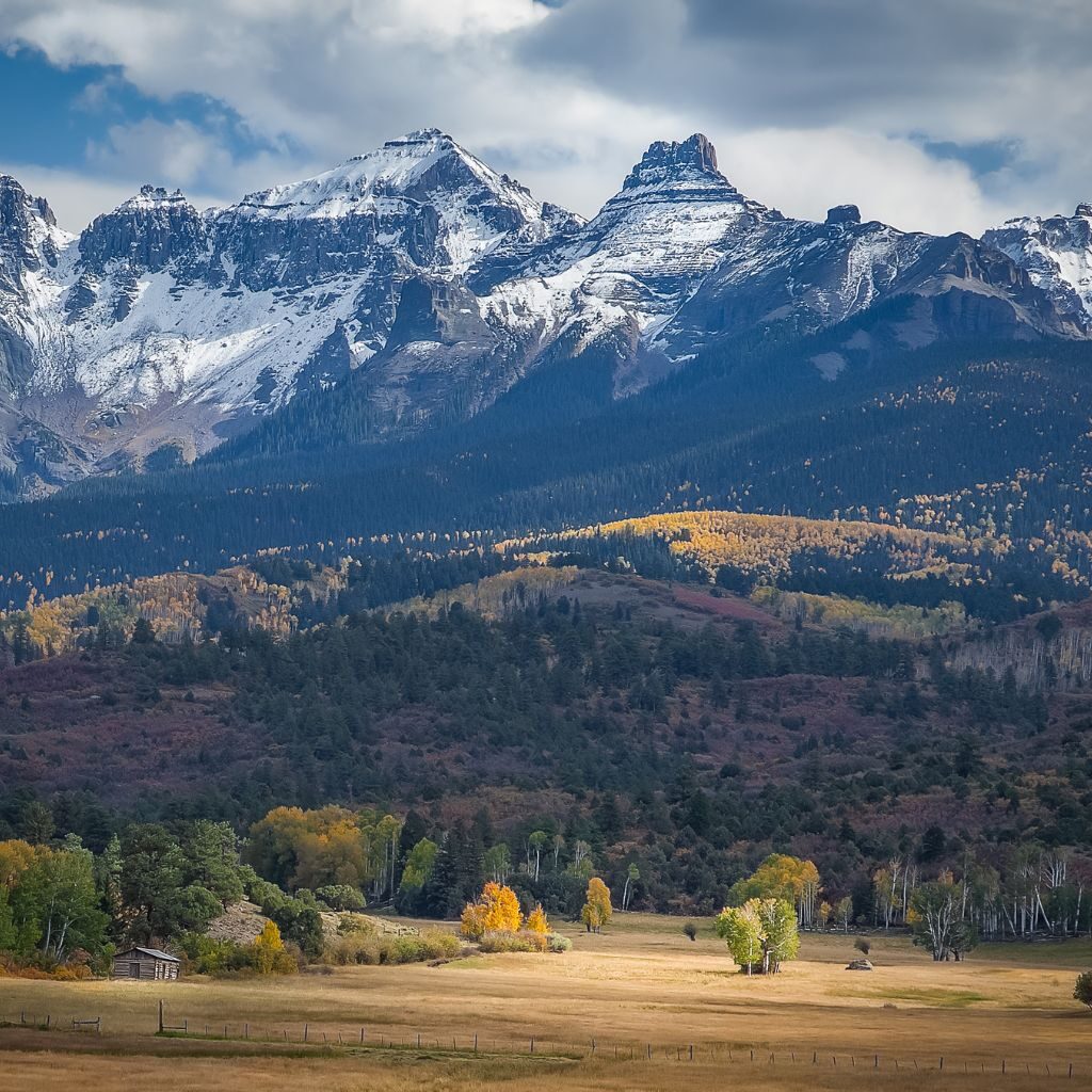 mold in Denver Co Mountain cities